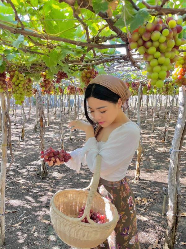 Vườn Nho Thái An
