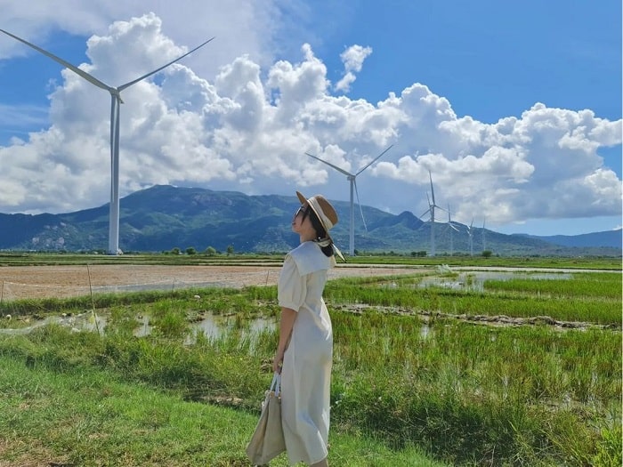 Cánh đồng quạt gió Ba Tháp