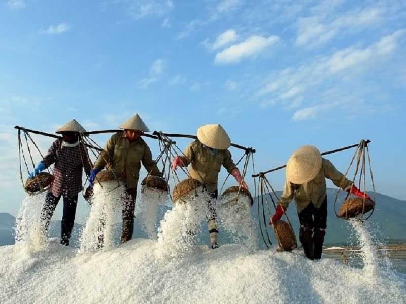 Cánh đồng muối Ninh Thuận