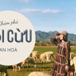 Đồi cừu An Hòa