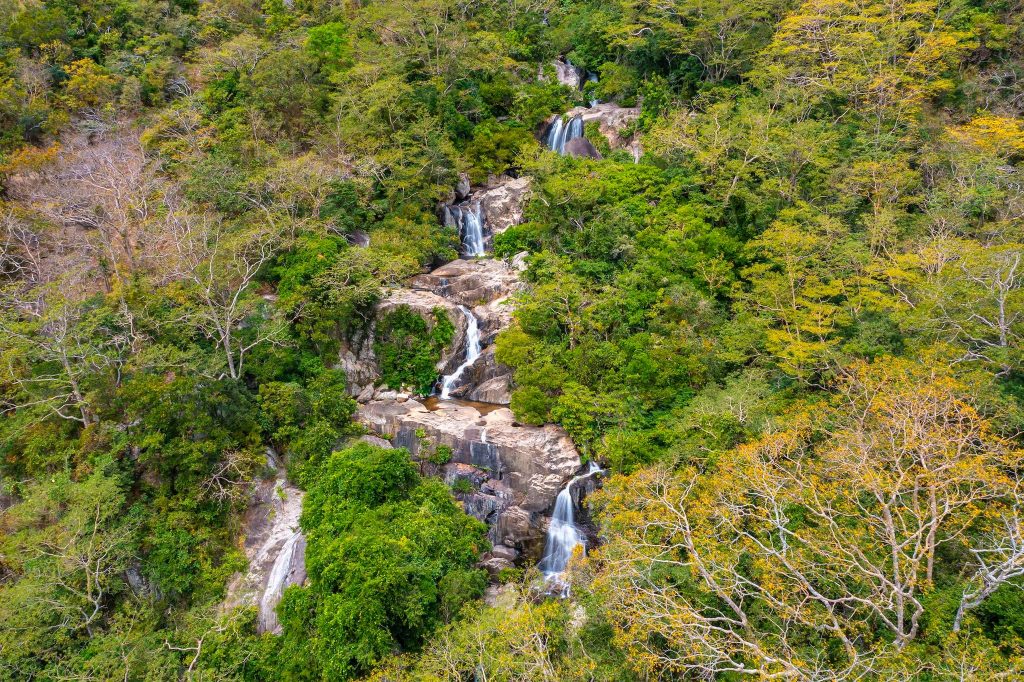 Khu dự trữ sinh quyển Núi Chúa Ninh Thuận