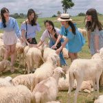 Khung cảnh bình yên giữa thảo nguyên rộng lớn (Ảnh: Sưu tầm)