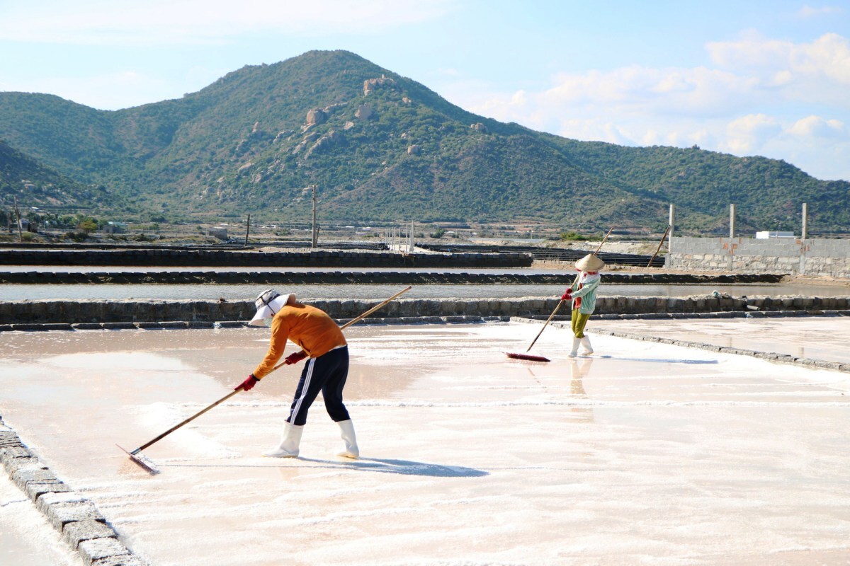 Trong buổi sáng, vẻ đẹp của cánh đồng muối là hình ảnh lao động của các diêm dân đang ra đồng