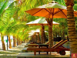 Resort Con Gà Vàng