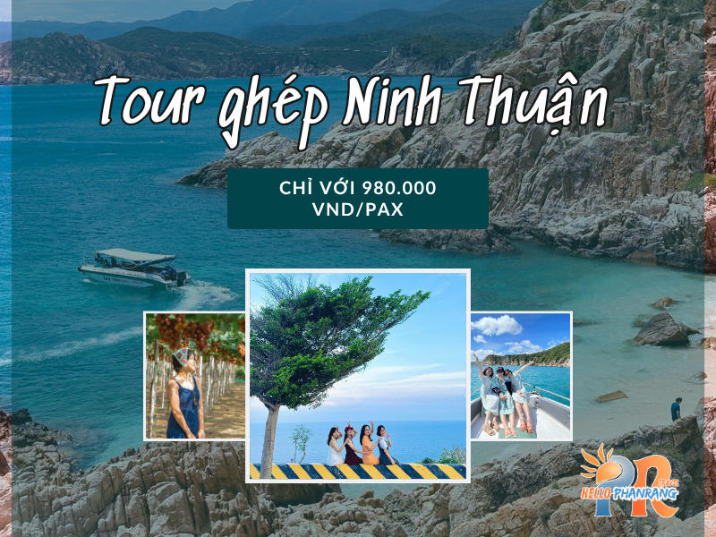 tour ghép Ninh Thuận tour ghép Ninh Thuận