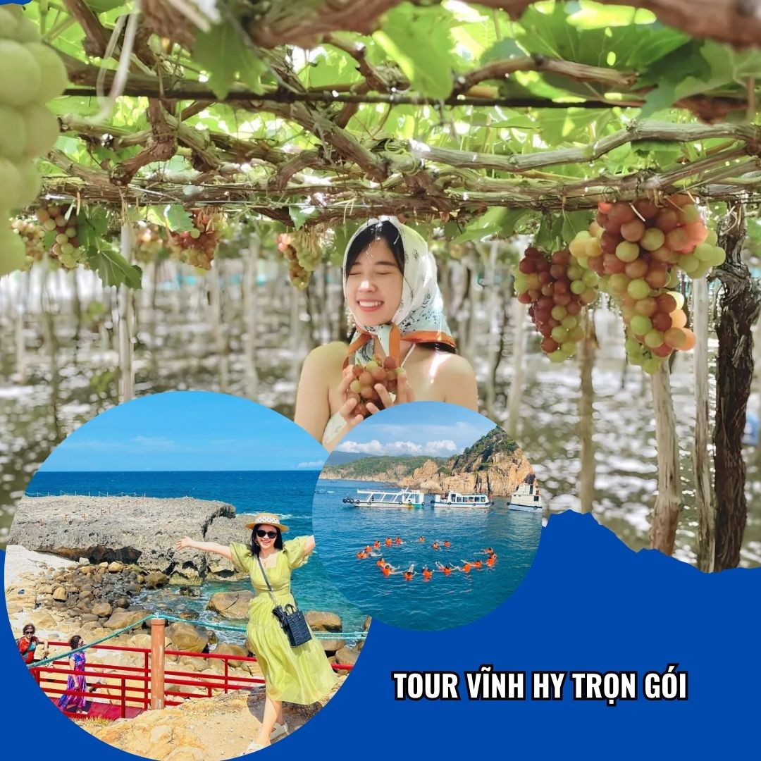Tour Vĩnh Hy trọn gói check-in Vườn Nho Thái An Tour Vĩnh Hy trọn gói check-in Vườn Nho Thái An